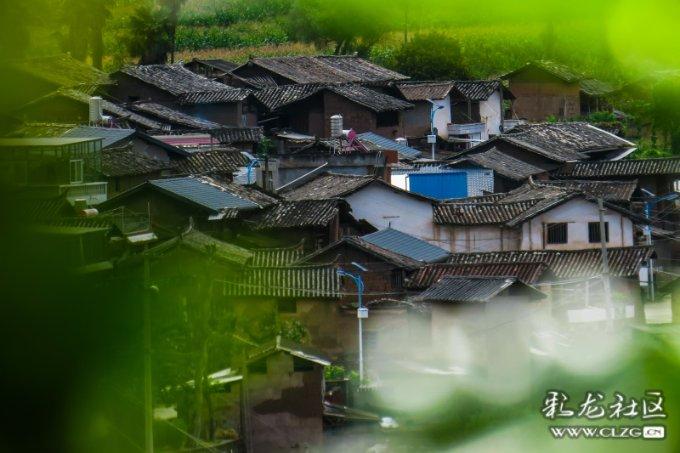 用家庭环境来教育孩子好么？游戏画面